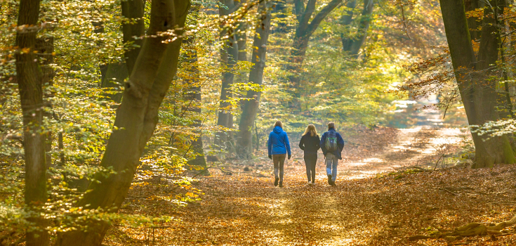 wandeling Herfst