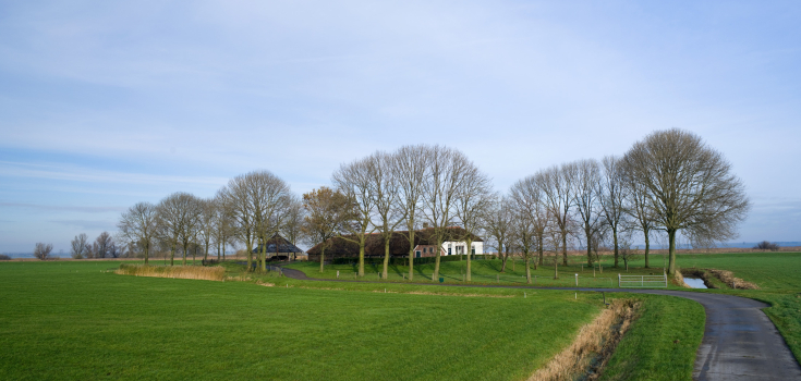 Erf nummer 45 op het Kampereiland, Studio Pothoff