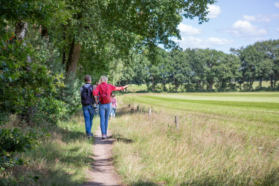 Wandelen8