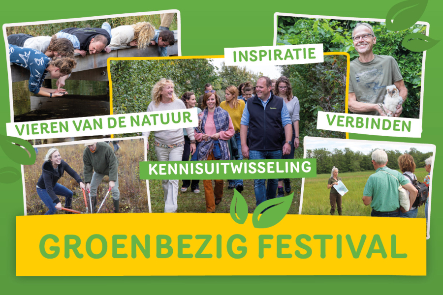 Groenbezig festival