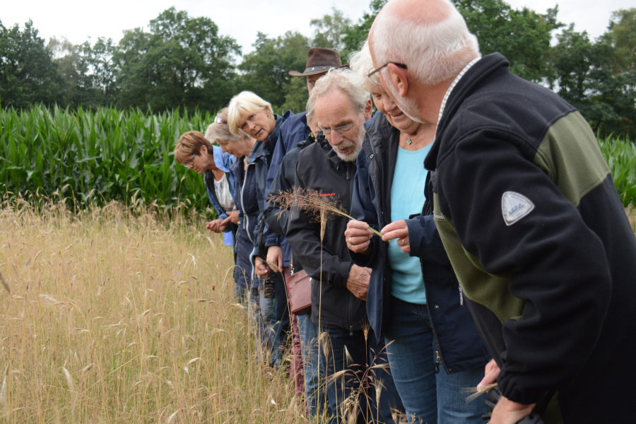 Excursie Dal van de Mosbeek