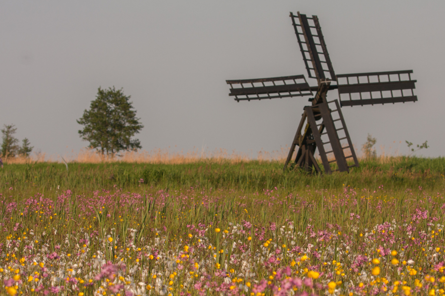 Paaltjasker Sint Jansklooster, Annie Keizer