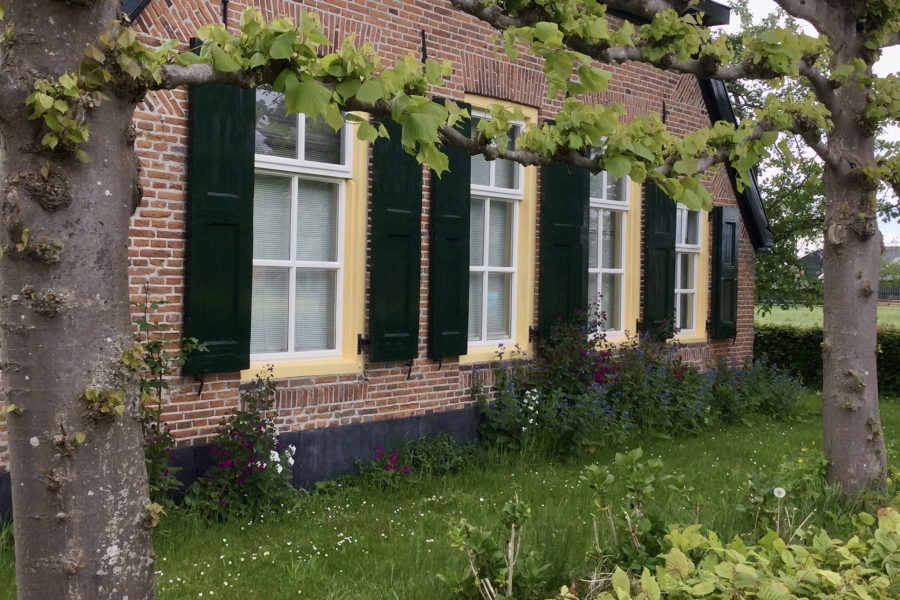 De achtertuin van Marion Baars (2)