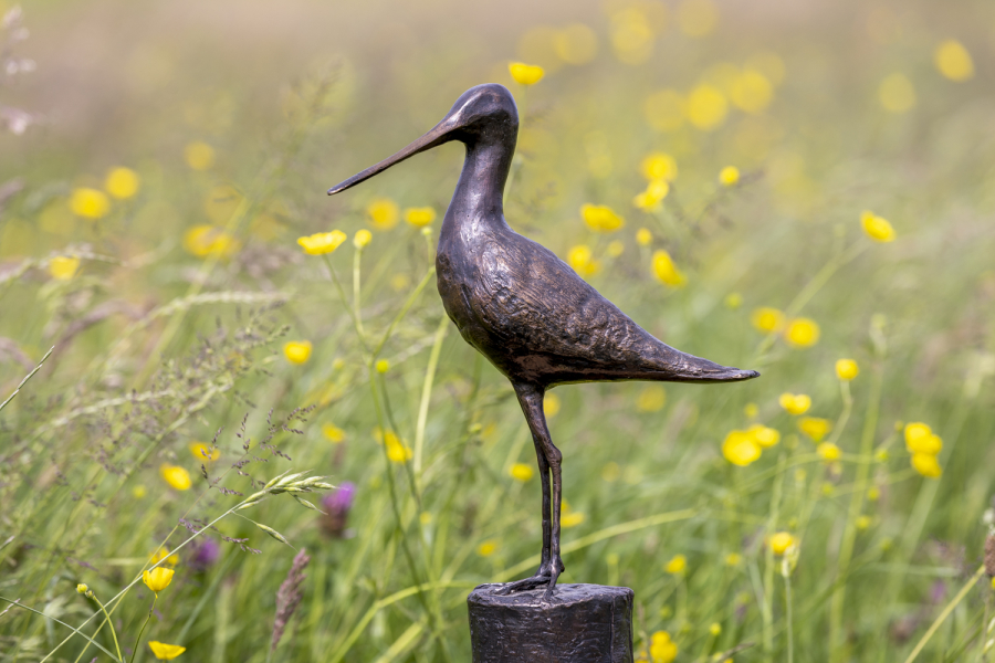 Gouden Grutto 27-5-24-2