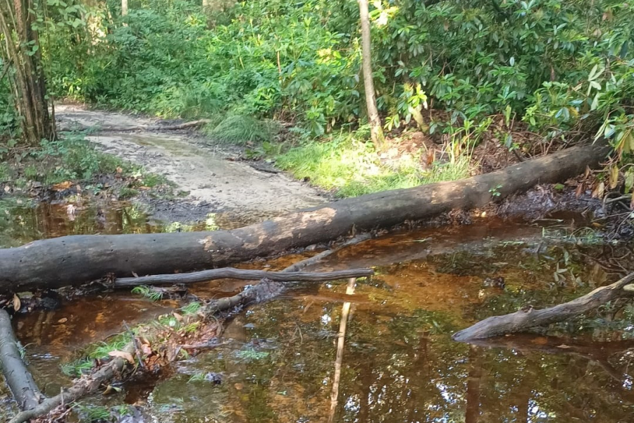 natuur onder water 3