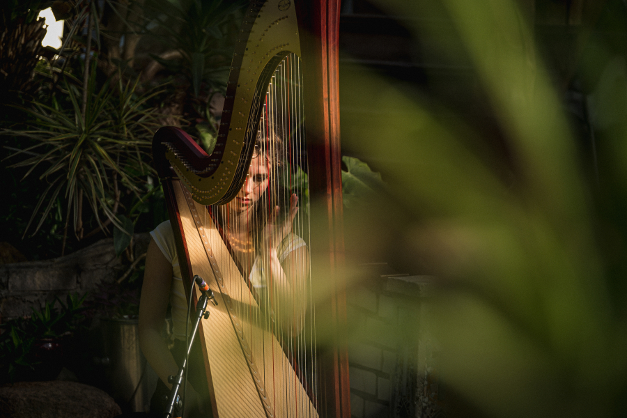Harp Sarah van den Brink
