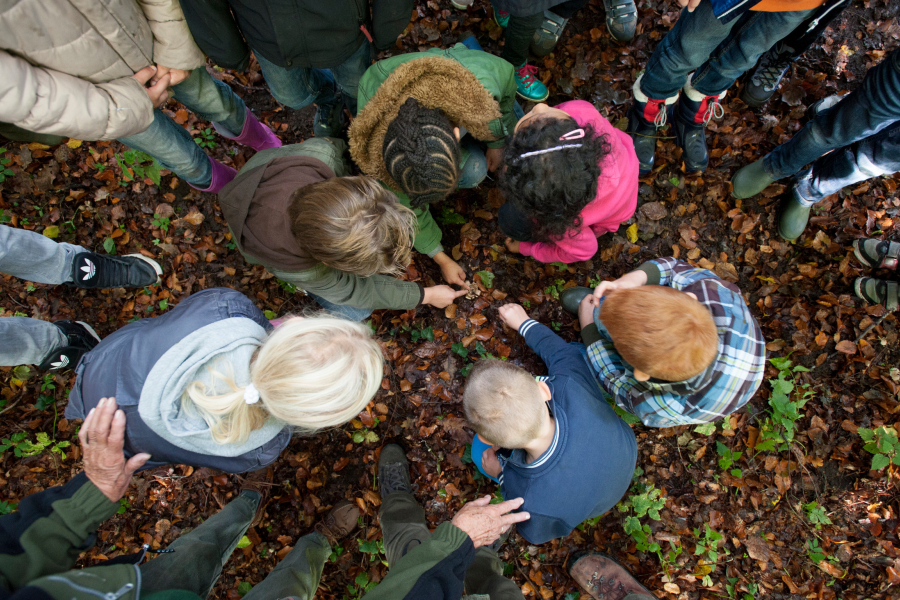 Kinderteam paddenstoelen ontdekken 