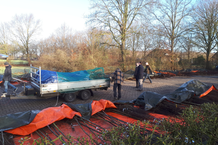 Boomdeeldag Steenwijkerland