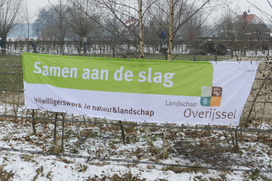 2017-02-11-diepenheim-wilgenknotten-grothold-005