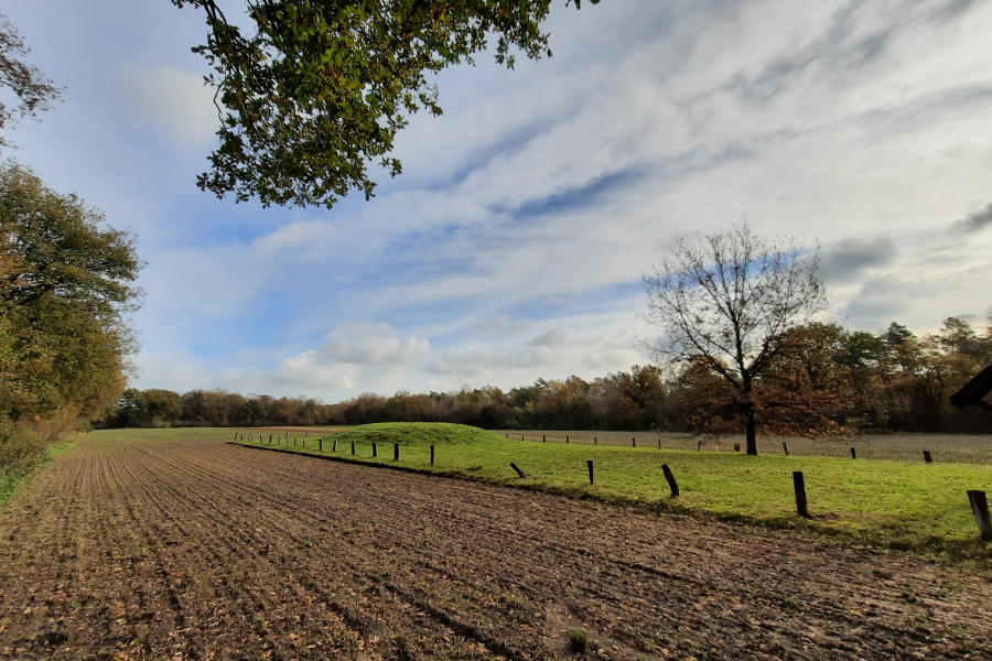 Manderheide - replica Hunebed - 