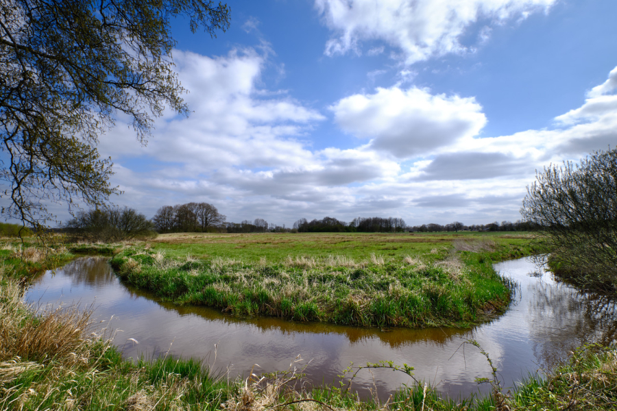 De Reest, Shutterstock