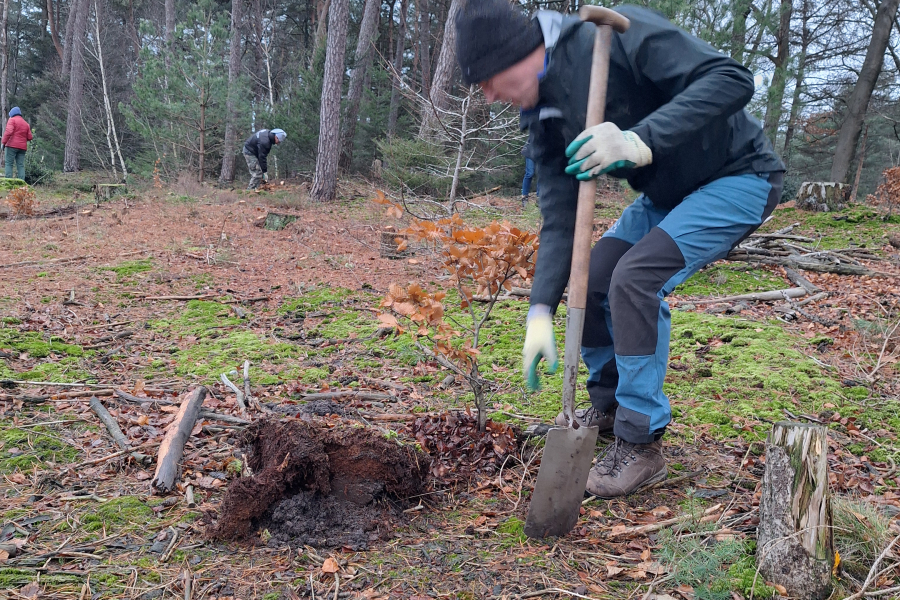 20250923_104433 Carin plantdag