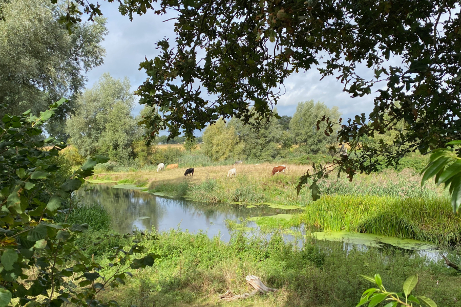 Velderberg
