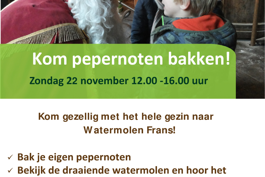 165723 LO - poster Sinterklaas 2026