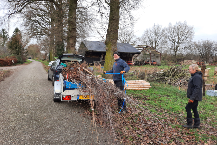 Boomdeeldag Rijssen-Holten