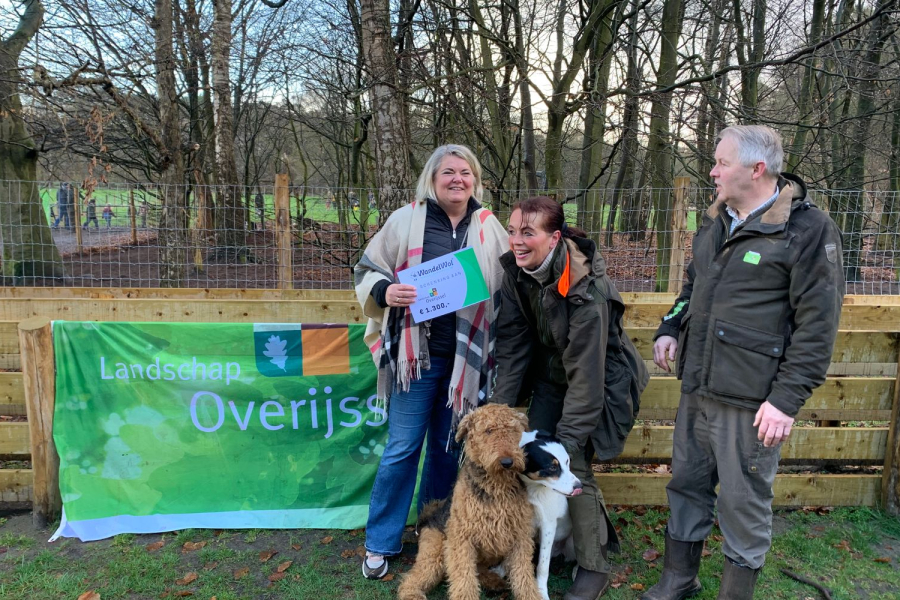 donatie wandelwol