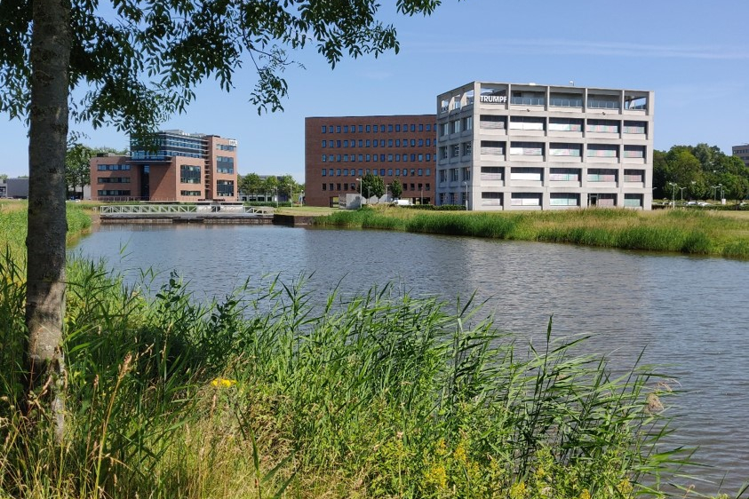 Bijen Hengelo 2