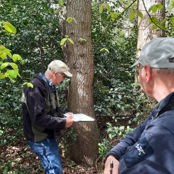 Vrijwilligers inventariseren wilde bomen & struiken