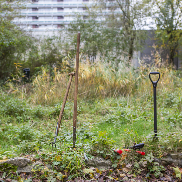 Natuurwerkdag 2024 promofoto's  (11)