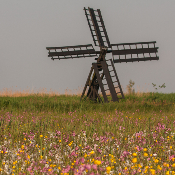 Paaltjasker Sint Jansklooster, Annie Keizer