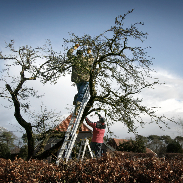 Herman Engbers SGBDO