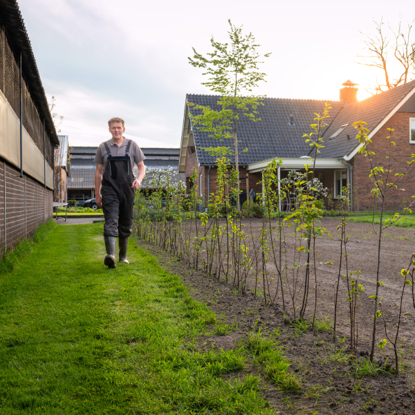 Gerard Pegge bij nieuwe aanplant