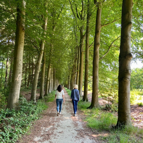 Wandelen op de Horte