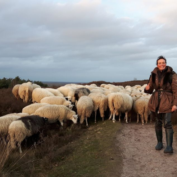 Anita tussen de schapen
