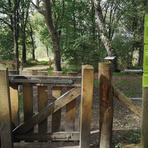 Paneel grazende dieren