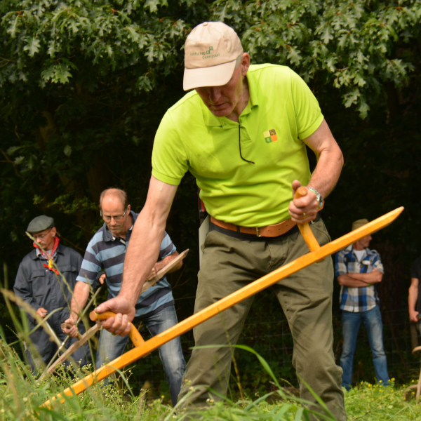 Maaien met de zeis