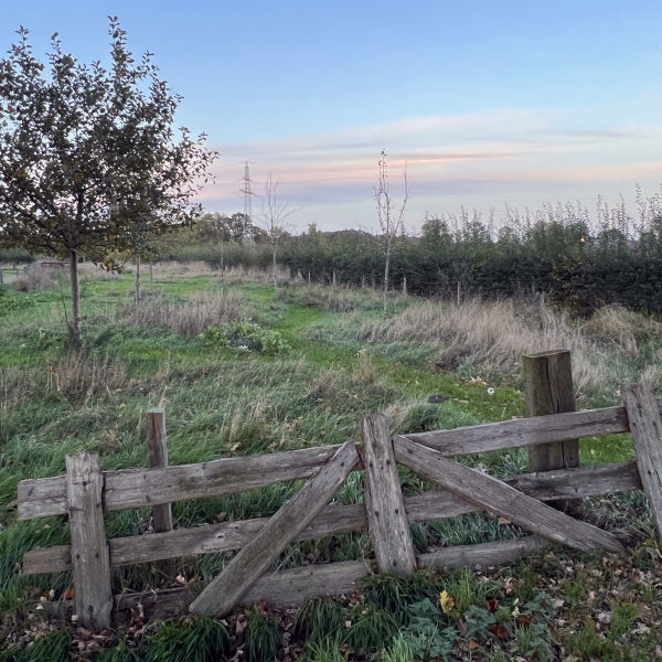 Buurtschap Elshof Wijhe