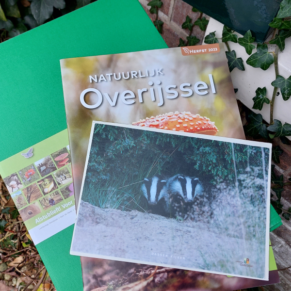 Cadeaubox: Dassen kijken