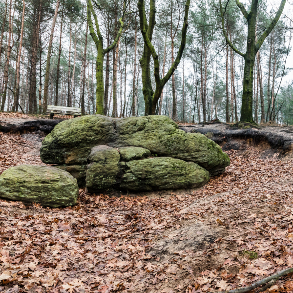 Dikke Steen Lemelerberg