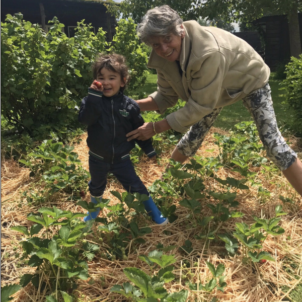 De achtertuin van Marion Baars (3)